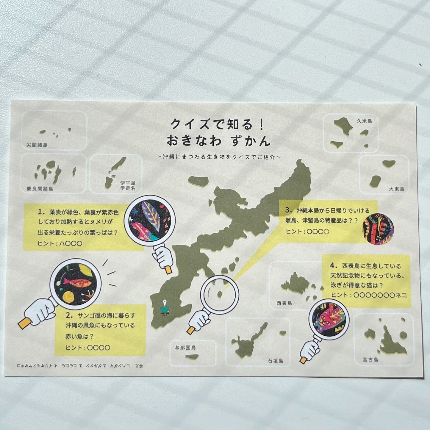 おきなわずかん(クッキー缶)